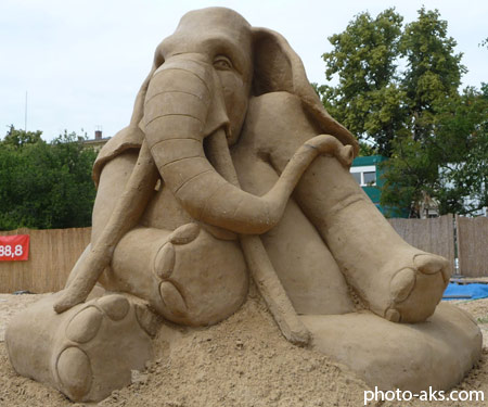 مجسمه شنی فیل sand art elephant