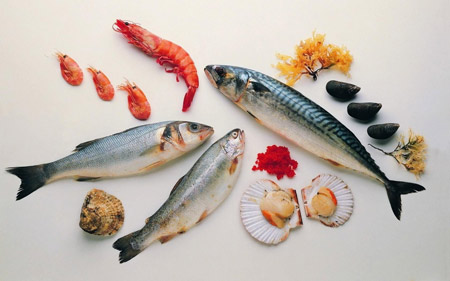 غذای دریایی میگو ماهی صدف seafood images