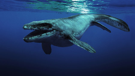 عکس نهنگ دایناسور زیر آب wall dinosaur underwater