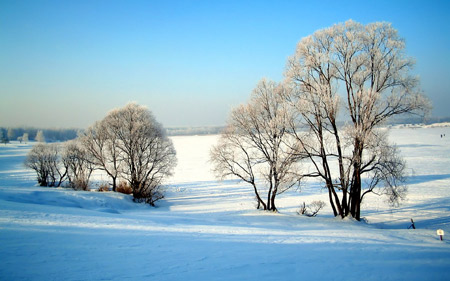 پوستر مناظر زمستانی زیبا snlow winter wallpaper
