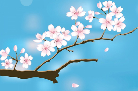 نقاشی شکوفه بهاری blossom spring drawing
