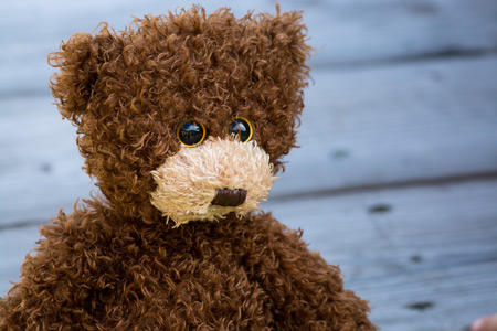عکس خرس عروسکی تدی teddy bear toy