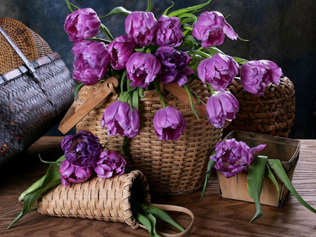 سبد گل لاله بنفش و ارغوانی tulips flowers basket