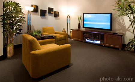دکور اتاق نشیمن با تلویزیون tv room decoration