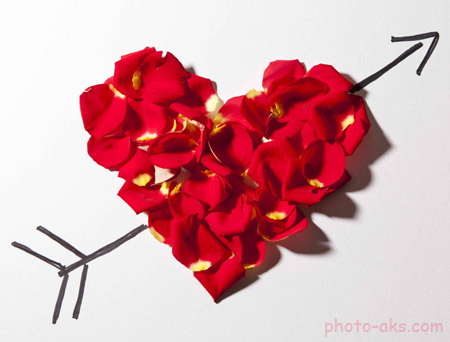 عکس قلب تیر خورده valentines heart