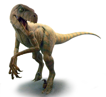 دایناسور دزد چابک یا ولاسیرپتر velociraptor dinosaurs