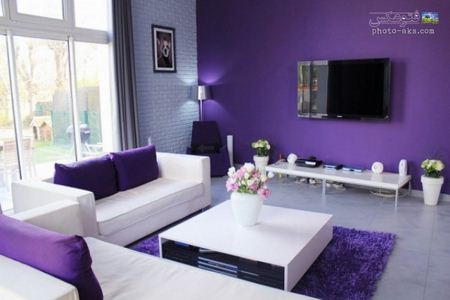 طرح بنفش دکوراسیون داخلی violet home decoration