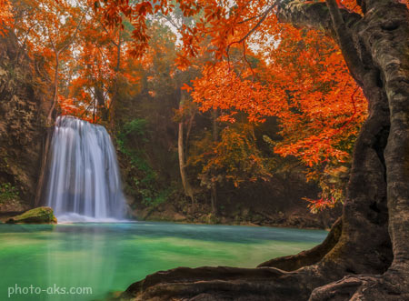 منظره آبشار در جنگل پاییزی waterfall in autumn trees