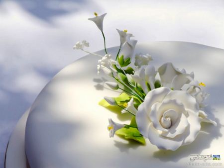 گل سفید کیک عروسی white flower on cake