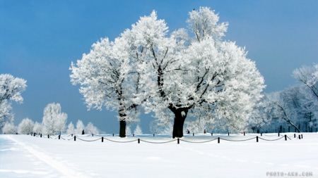 منظره بسیار زیبای زمستانی winter wallpaper photo aks