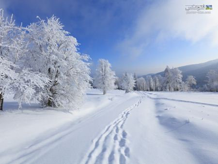 عکس رد پا روی برف ها step on snow in winter