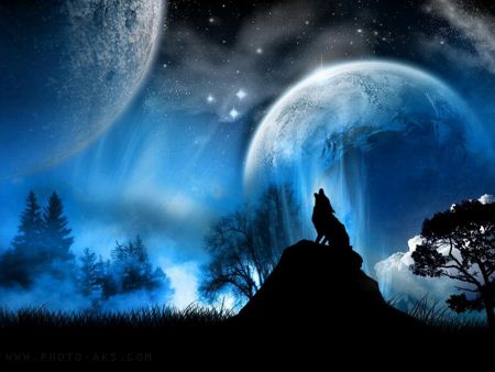 زوزه گرگ در شب wolf fantazy