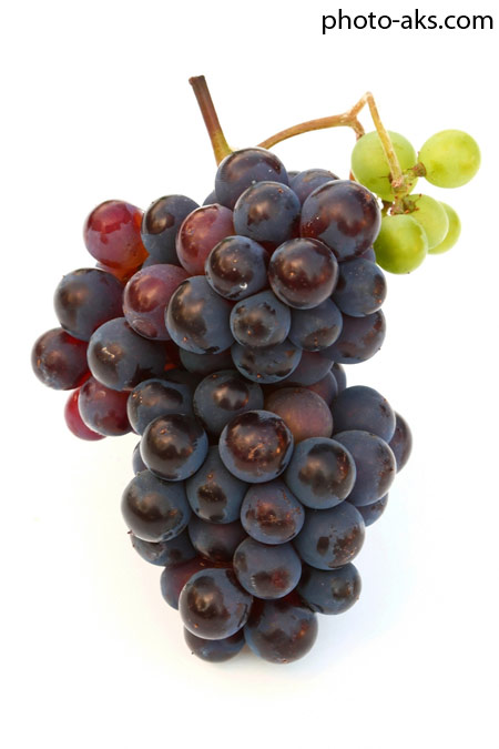 انگور سیاه grapes image