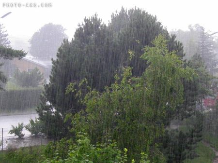 منظره بارانی طبیعت rain in nature