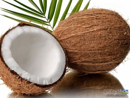 عکس نارگیل Coconut picture