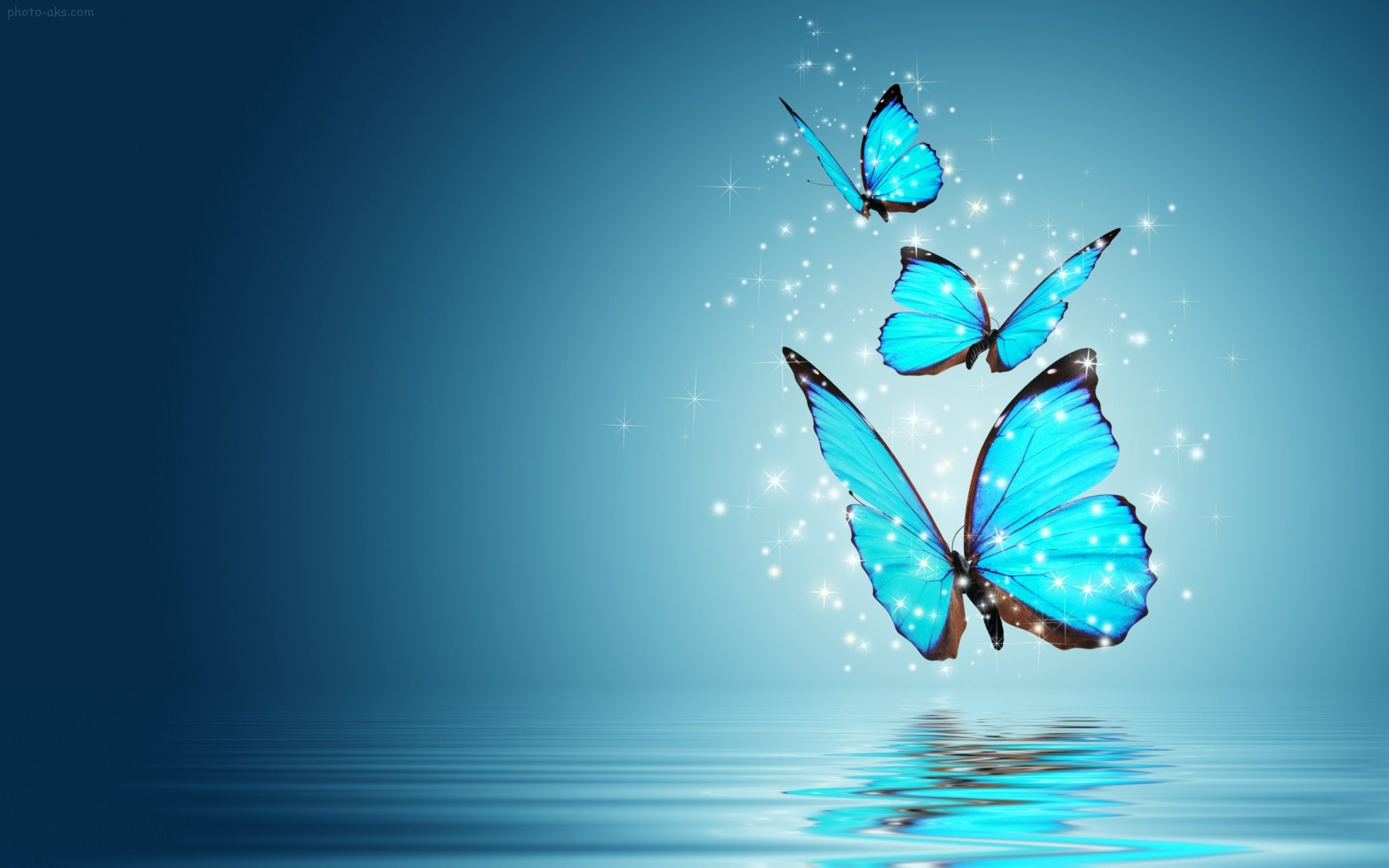 three-blue-magic-butterflies.jpg