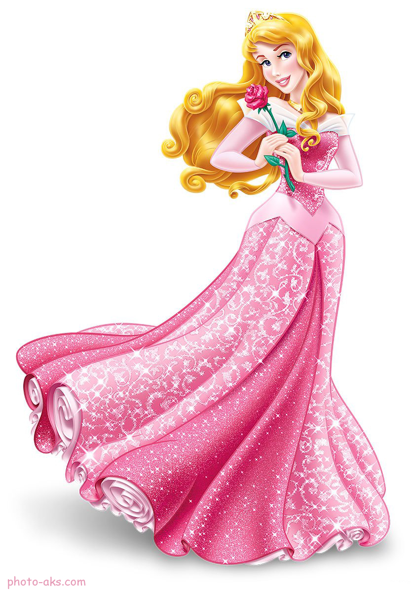 http://pic.photo-aks.com/photo/images/cartoons/large/Princess-Aurora-Holding-Rose.jpg