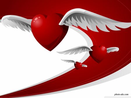 والپیپر پرواز قلب ها wallpaper flying heart