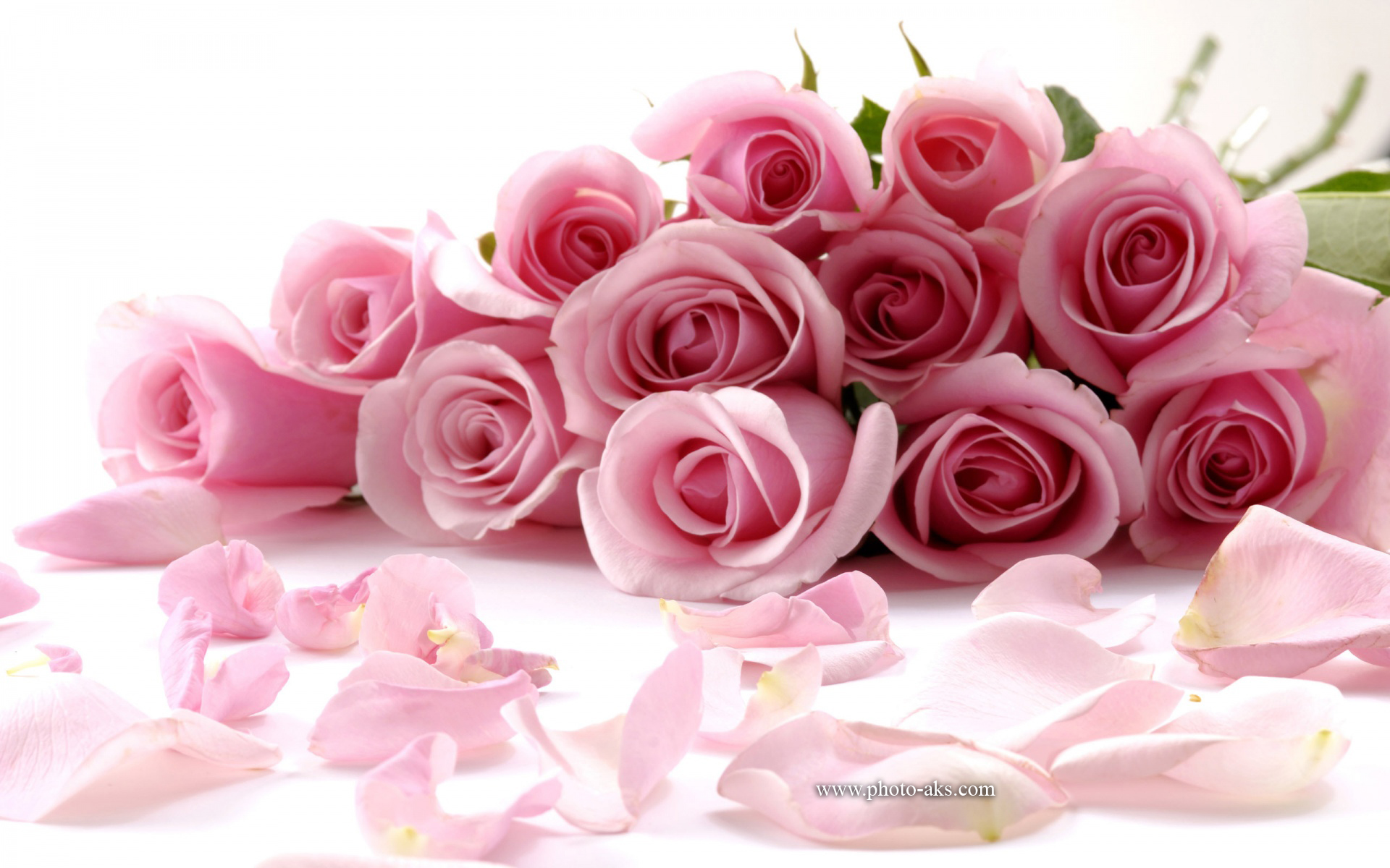 beautiful_roses.jpg