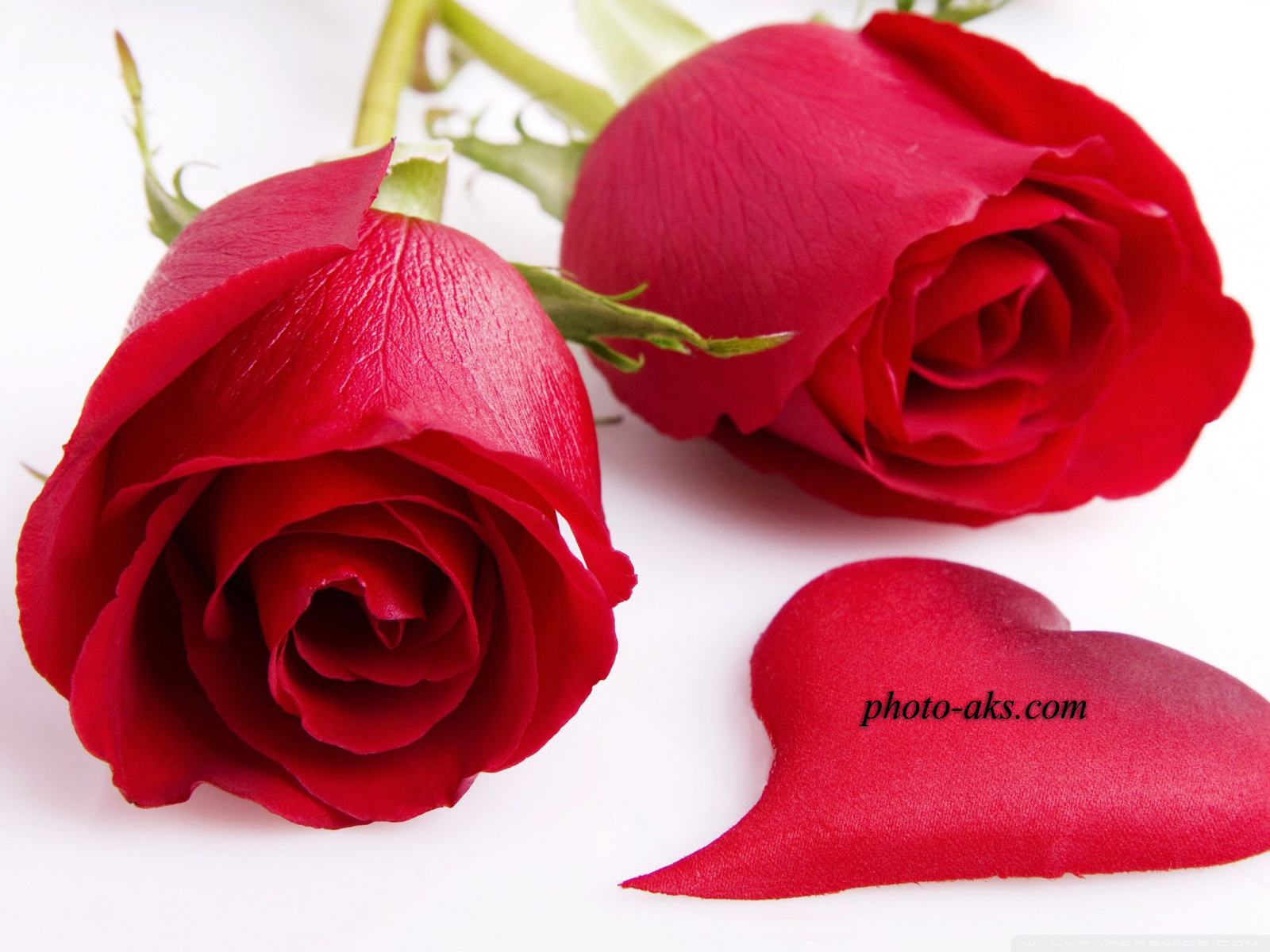 http://pic.photo-aks.com/photo/nature/flowers/rose/large/red_roses(photo-aks.com).jpg