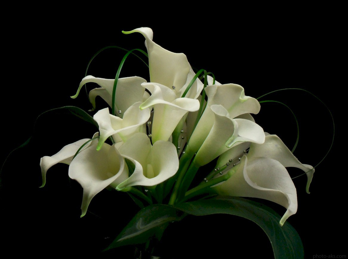 گل مصنوعی شیپوری