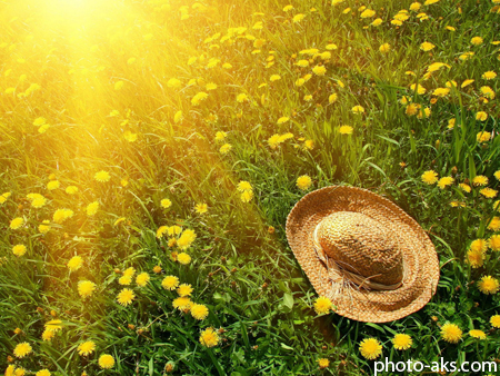 [تصویر:  summer-sun-hat.jpg]