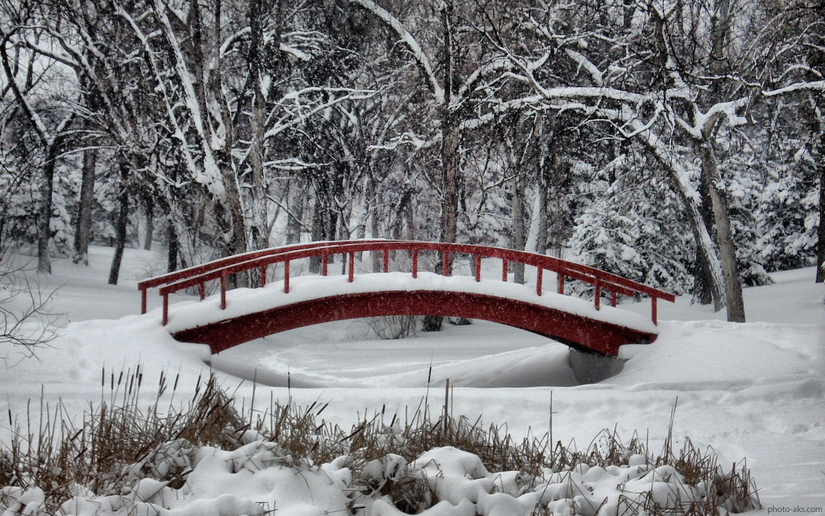 http://pic.photo-aks.com/photo/nature/season/winter/large/park-in-winter.jpg