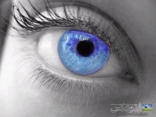 زیباترین چشم آبی فیروزه ای