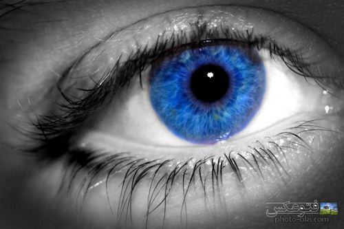 عکس چشم آبی از نمای بسیار نزدیک و با کیفیت عالی