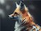 عکس دیجیتالی روباه در زمستان