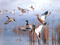 نقاشی پرواز اردک ها از برکه