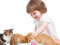 عکس بازی دختر بچه با گربه ها