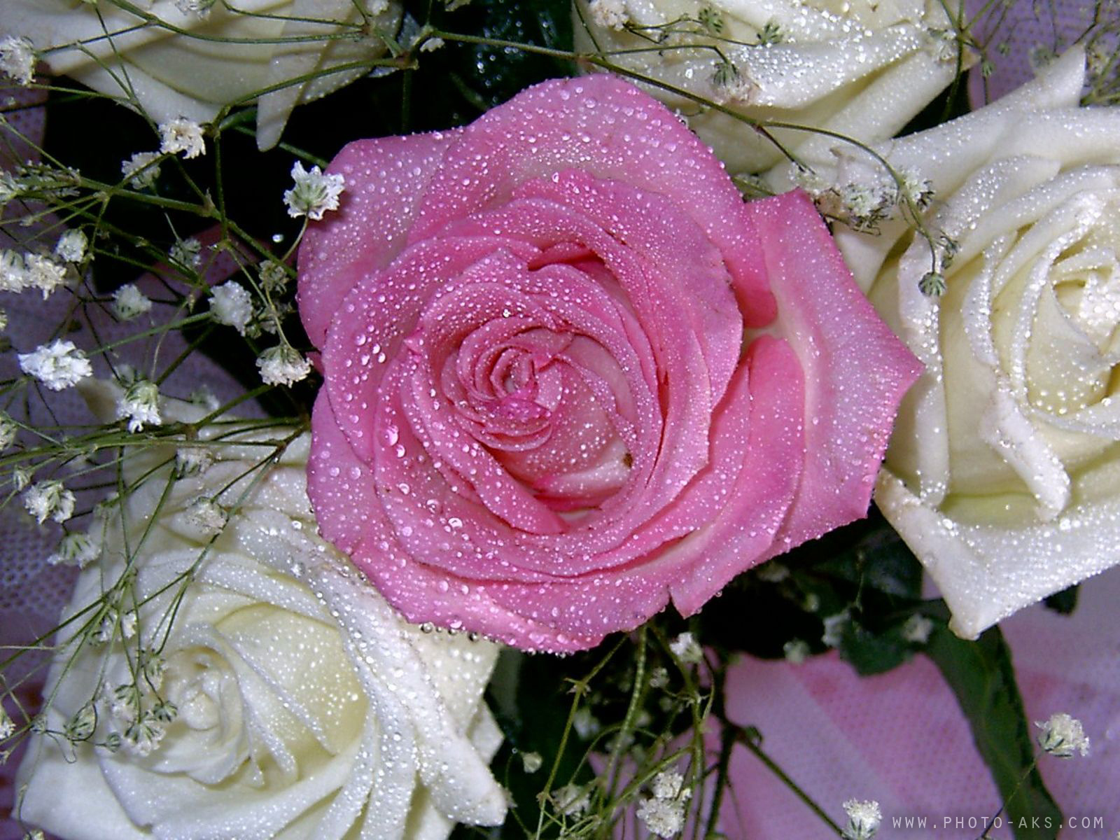 Букет роз с блестками. Красивые цветы. Красивые цветочки. Красивые розы. Розы с блестками.