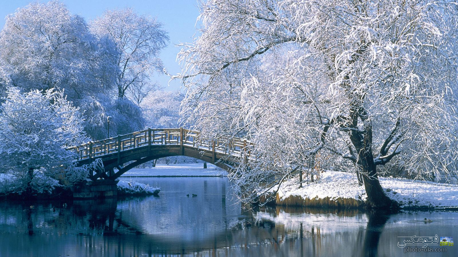 تصاویر زیبا فصل زمستان