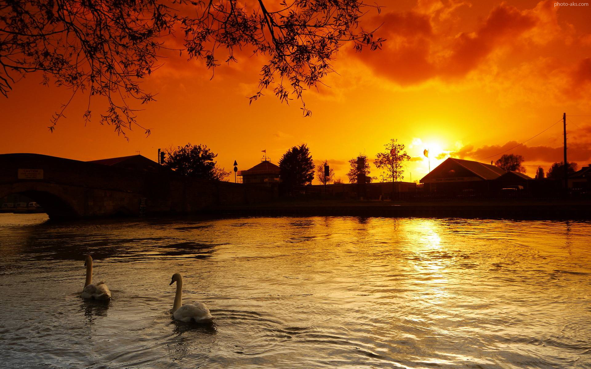 It is a beautiful evening. Закат на берегу озера с птицами. Лебеди на закате. Лебеди на закате фото. Тихий закат лебедь.