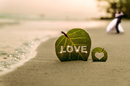 عکس رمانتیک زیبا در کنار ساحل beach heart leaf love