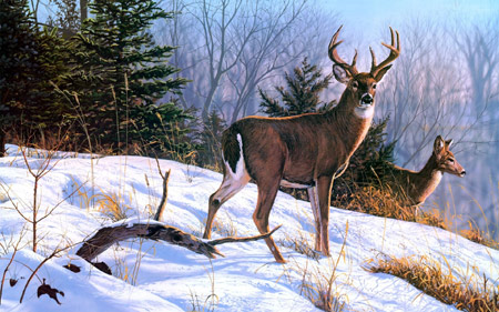 نقاشی گوزن وحشی در زمستان forest deer snowy painting
