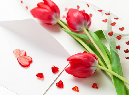 پوستر شاخه گل های لاله قرمز love tulips flowers