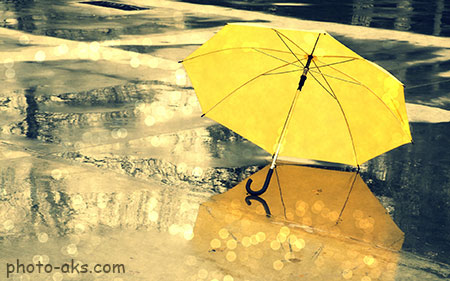 عکس چتر زرد دخترانه زیر باران umbrella in rain