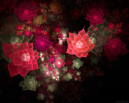 عکس فرکتالی و انتزاعی از گلهای زیبا abstraction fractal flowers