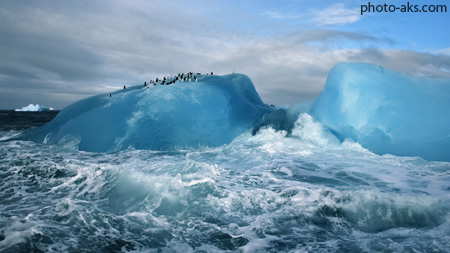 کوه یخ در اقیانوس منجمد شمالی ice ocean