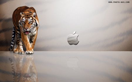 پس زمینه اپل و ببر apple mac tiger wide wallpaper