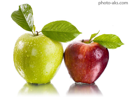 سیب قرمز و سبز apples wallpapers