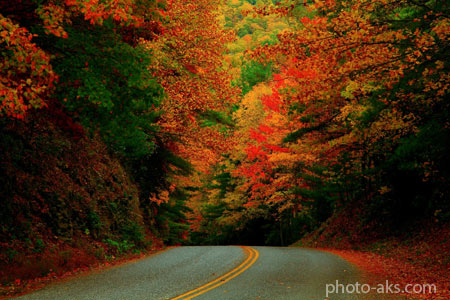 جاده پاییزی بسیار زیبا autumn road beautiful