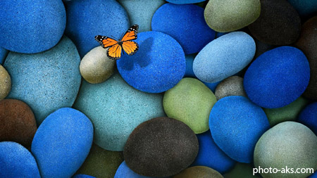 پروانه و سنگ های آبی فیروزه ای colorfull stone butterfly