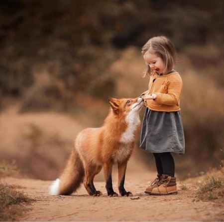 عکس روباه و دختر بچه beauty girl and fox