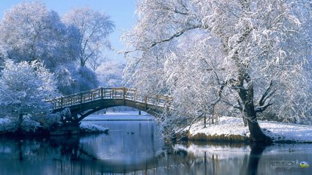 تصویر زیبا از پل در زمستان bridge in winter