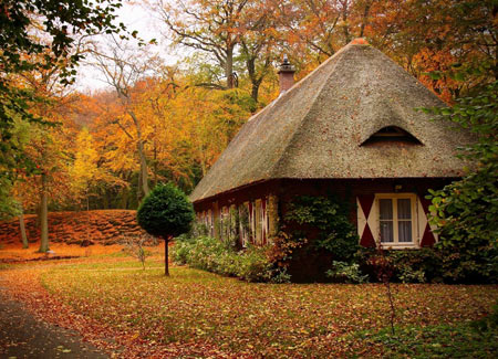 خانه زیبا در منظره پاییزی جنگل forest autumn house