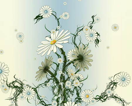 عکس انتزاعی گل های بابونه chamomile white abstract