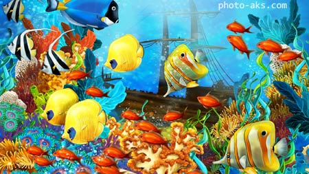 ماهی های آکواریومی رنگارنگ aquarium fish painting